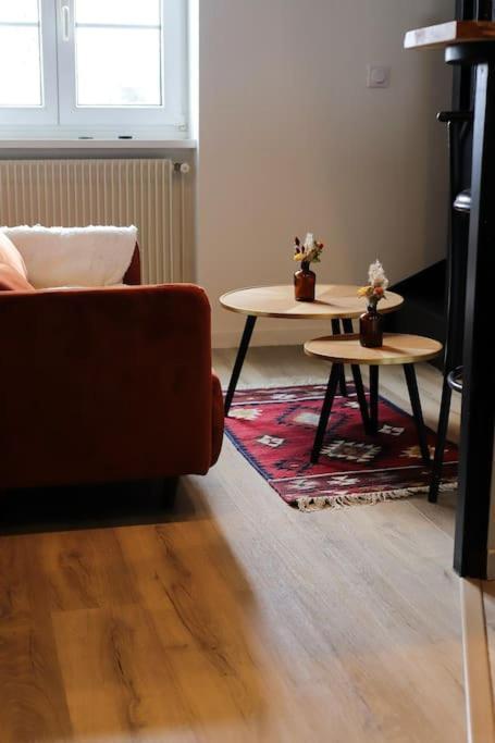 Appartement Duplex Au Coeur De Reims Ngoại thất bức ảnh